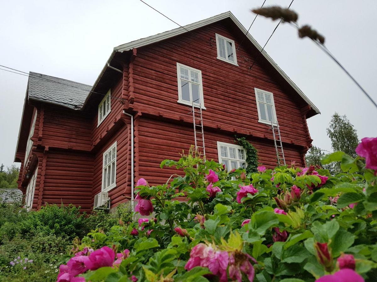 Haugtun Gardspensjonat Og Leiligheter Nordre Land Exterior foto
